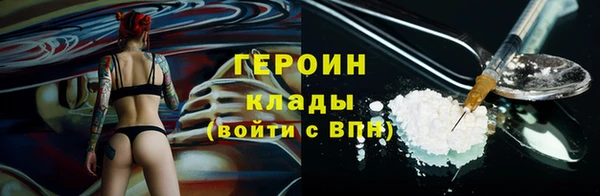хмурый Аркадак