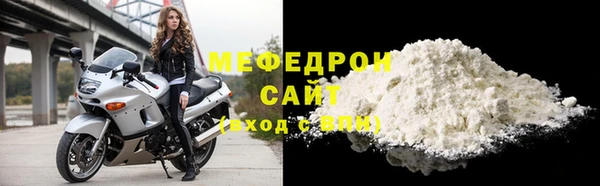 хмурый Аркадак