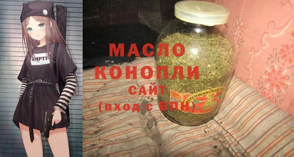 хмурый Аркадак