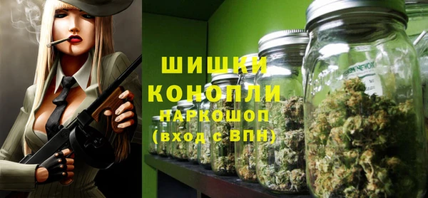 хмурый Аркадак