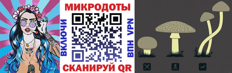 Псилоцибиновые грибы мухоморы  даркнет клад  Миньяр  дарнет шоп 